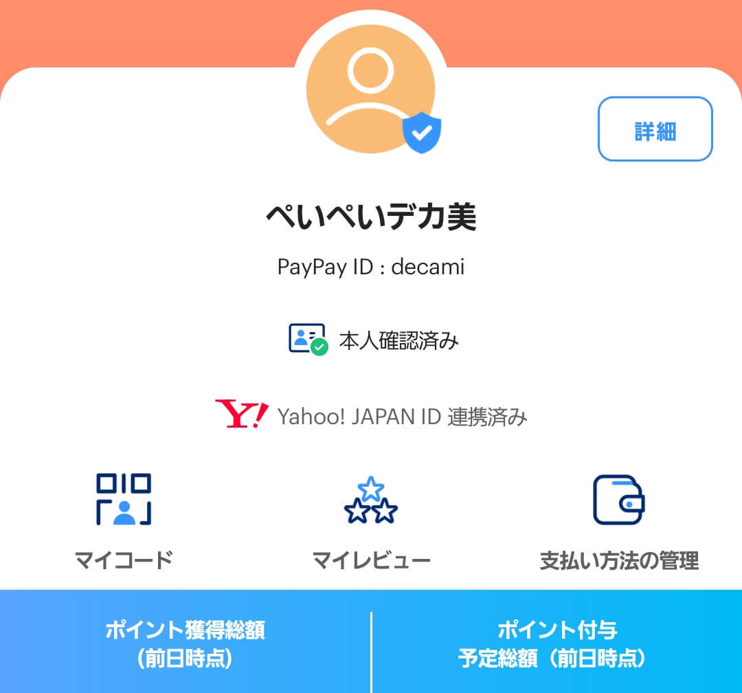 ペイペイでか美によるPayPayポイント無限増殖理論(01)